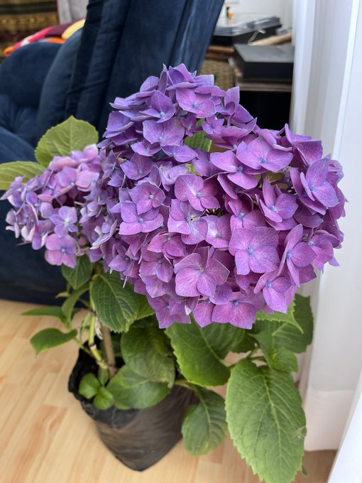 ❤️ https://t.co/n2sWOH67Kr<a href="/tag/desnuda"class="tags"><span>#desnuda</span></a>