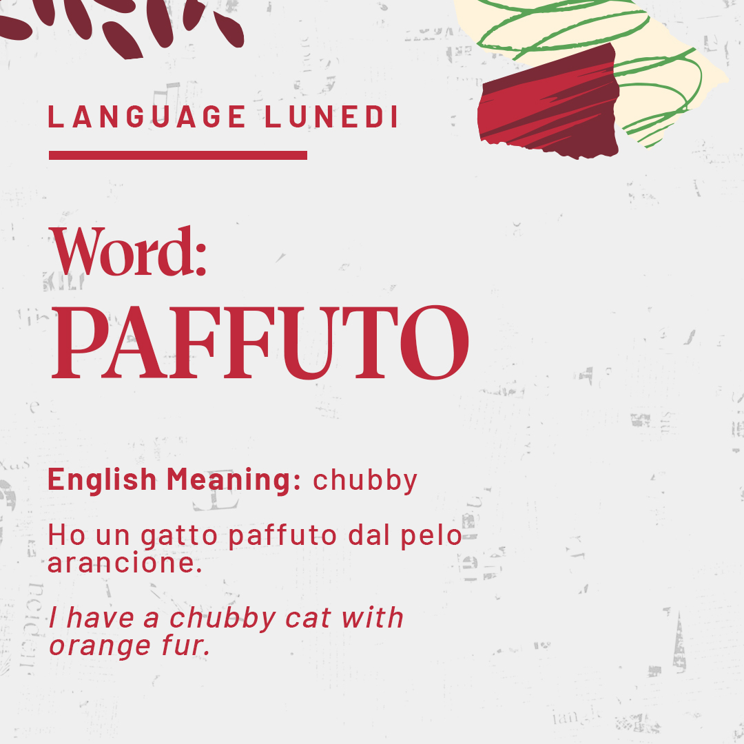 Sons_of_Italy's tweet photo. Today’s Italian word is PAFFUTO which translates to “chubby” in English. It might be slightly offensive to say this to a friend, but when referencing your chubby pet cat, nothing could be more adorable. #LanguageLunedí #Paffuto #ItalianLanguage #LearnItalian https://t.co/lAX2FGkOSg
