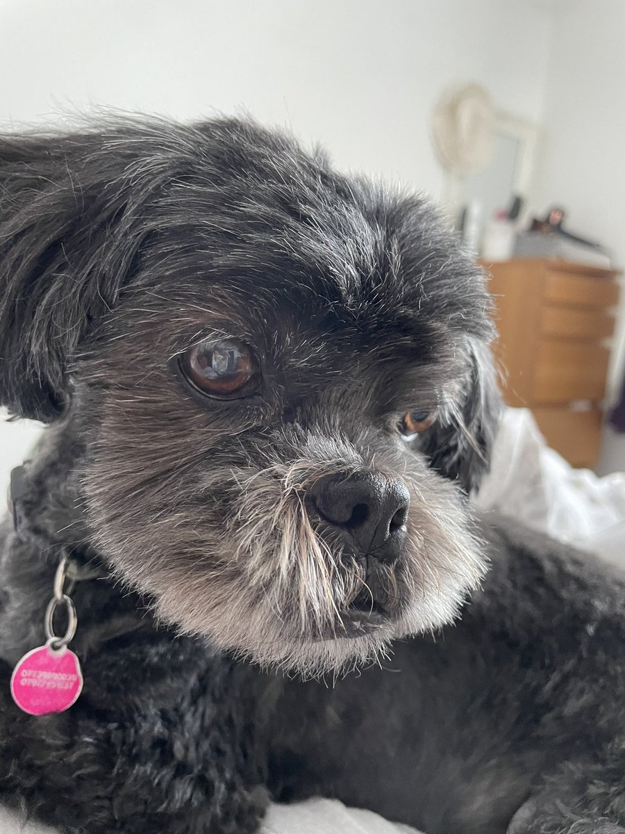 Sharon Cousins tweet media