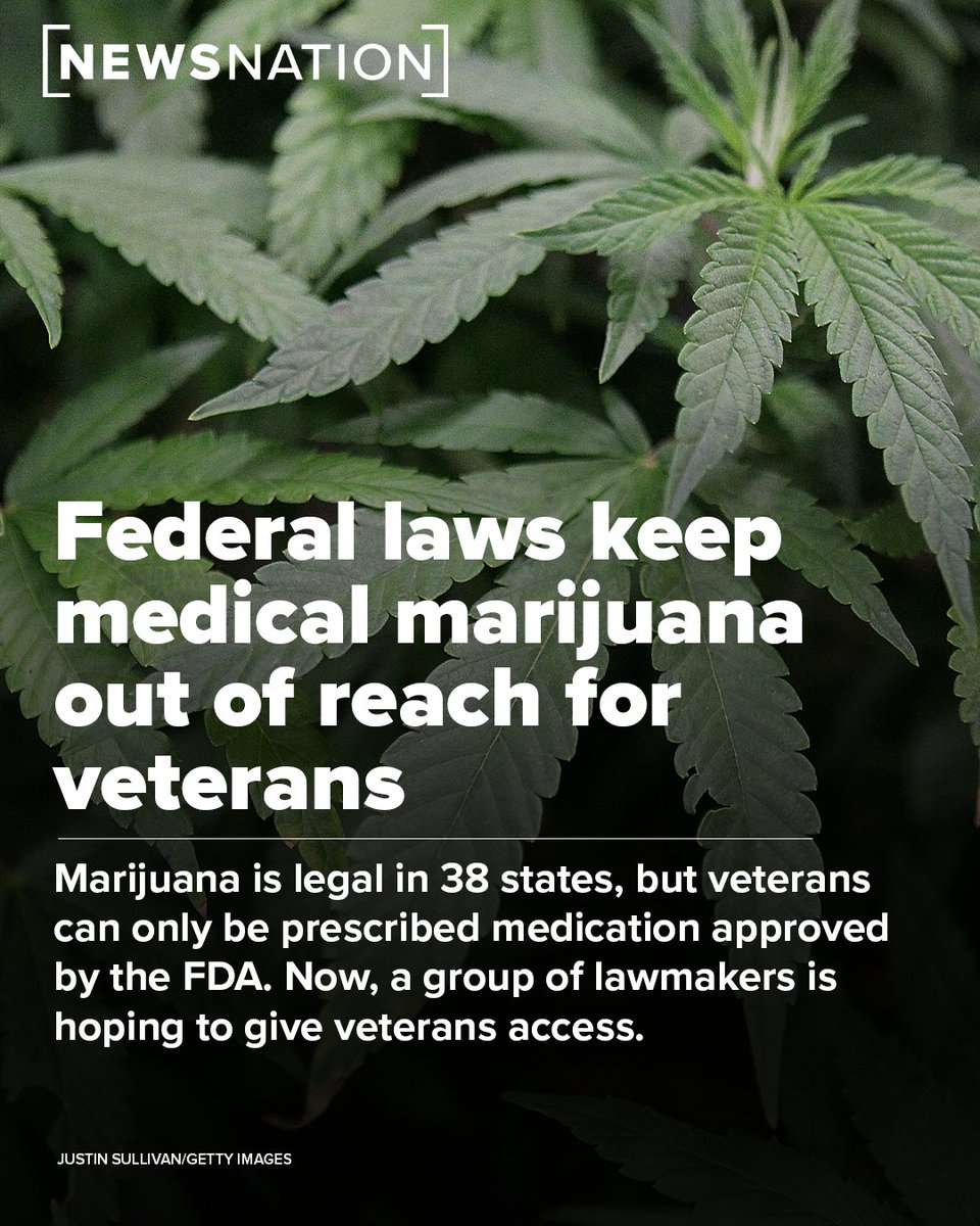 NewsNation's tweet photo. A bipartisan effort is underway to allow the Veterans Affairs to give veterans access to medical marijuana. 

MORE: https://t.co/lV0QChPeU2 https://t.co/6et5dbHXrM