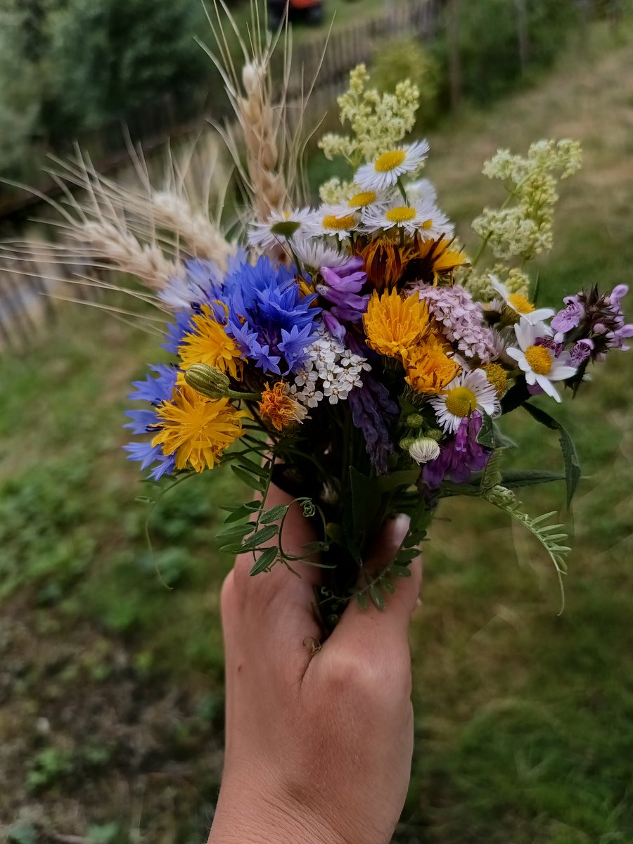 TaVesnicka's tweet photo. Když žena řekne, že chce květinu, tak myslí takovouhle: https://t.co/nonLl9jo54