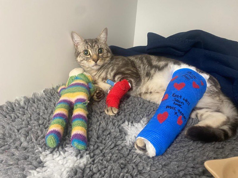 jamie groovement / agent j tweet media