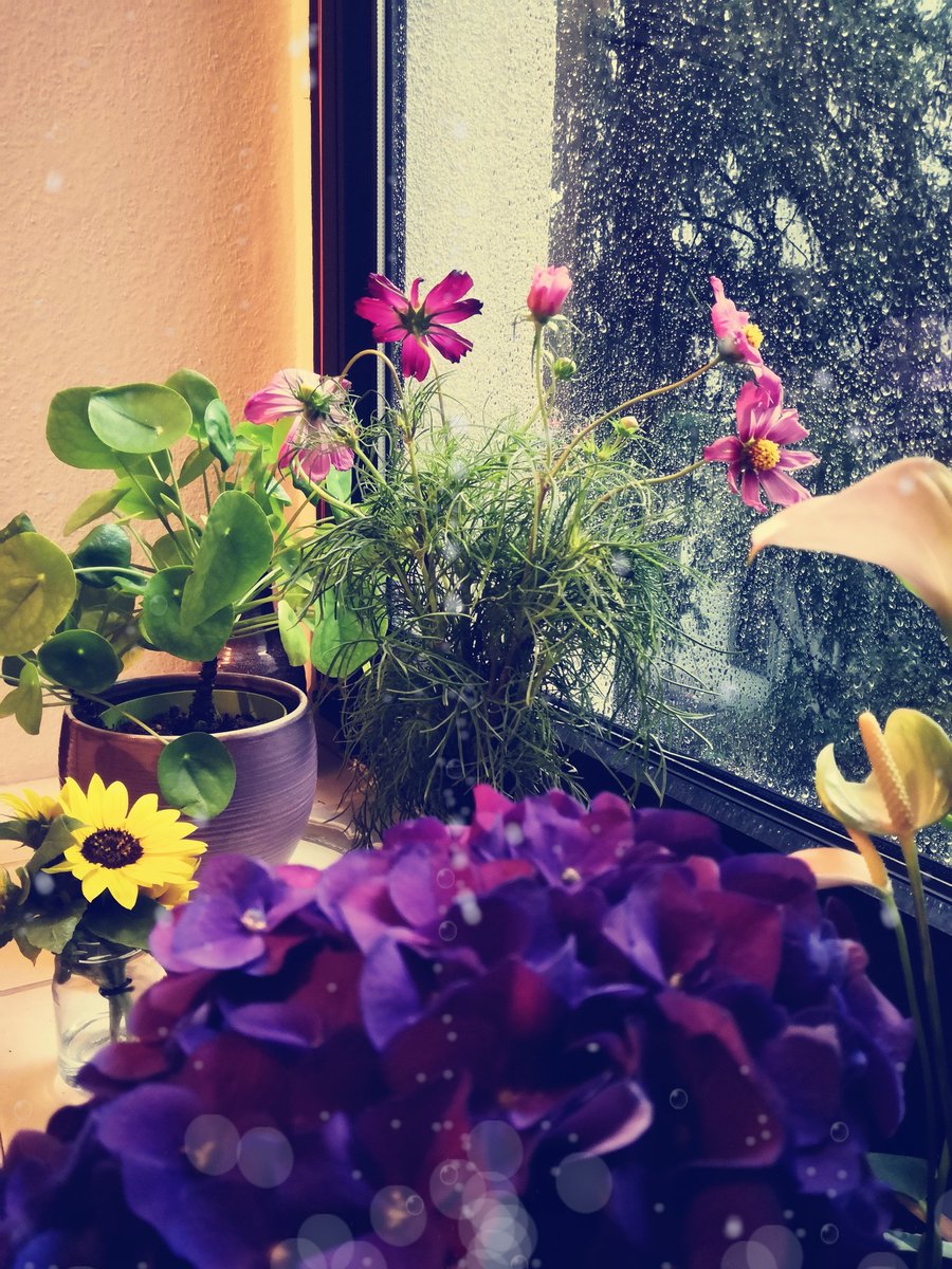 War das da draußen vor der Tür jetzt ein "reinigendes" #Gewitter ? Frage für die CDU uvm... #Berlin