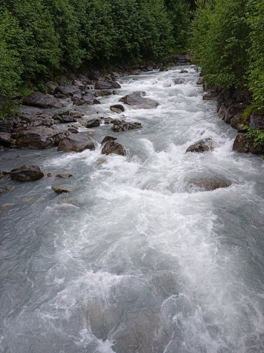 Mister Al tweet media