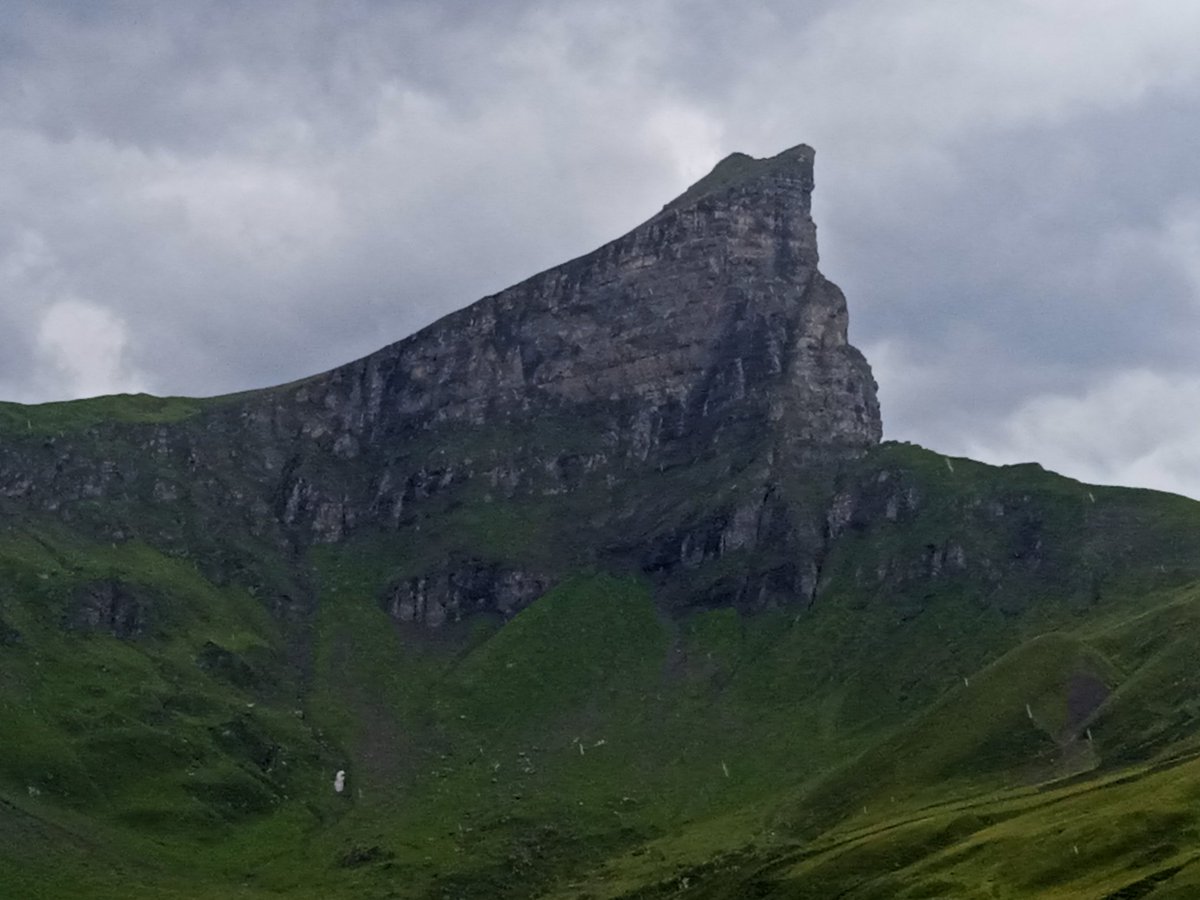 Mister Al tweet media