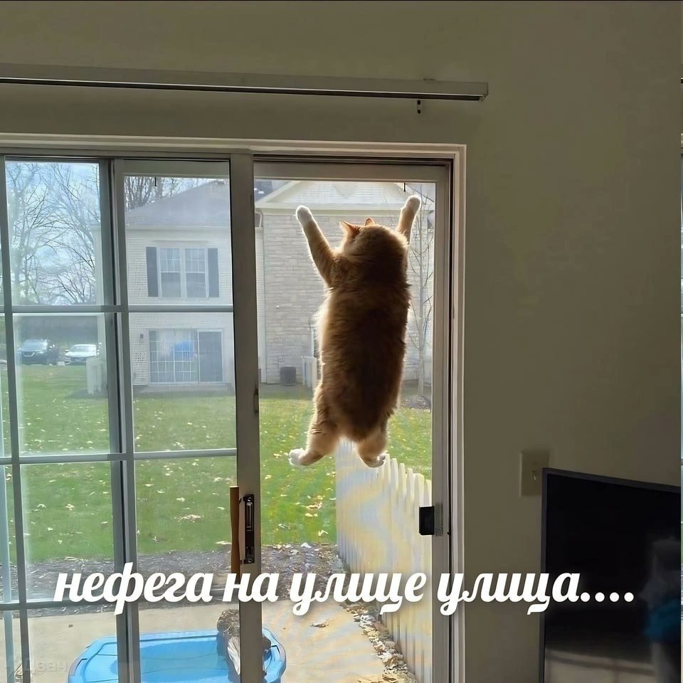 SpyJ's tweet photo. Я, когда два дня подряд не выходила из дома https://t.co/U1Ri32zi0r