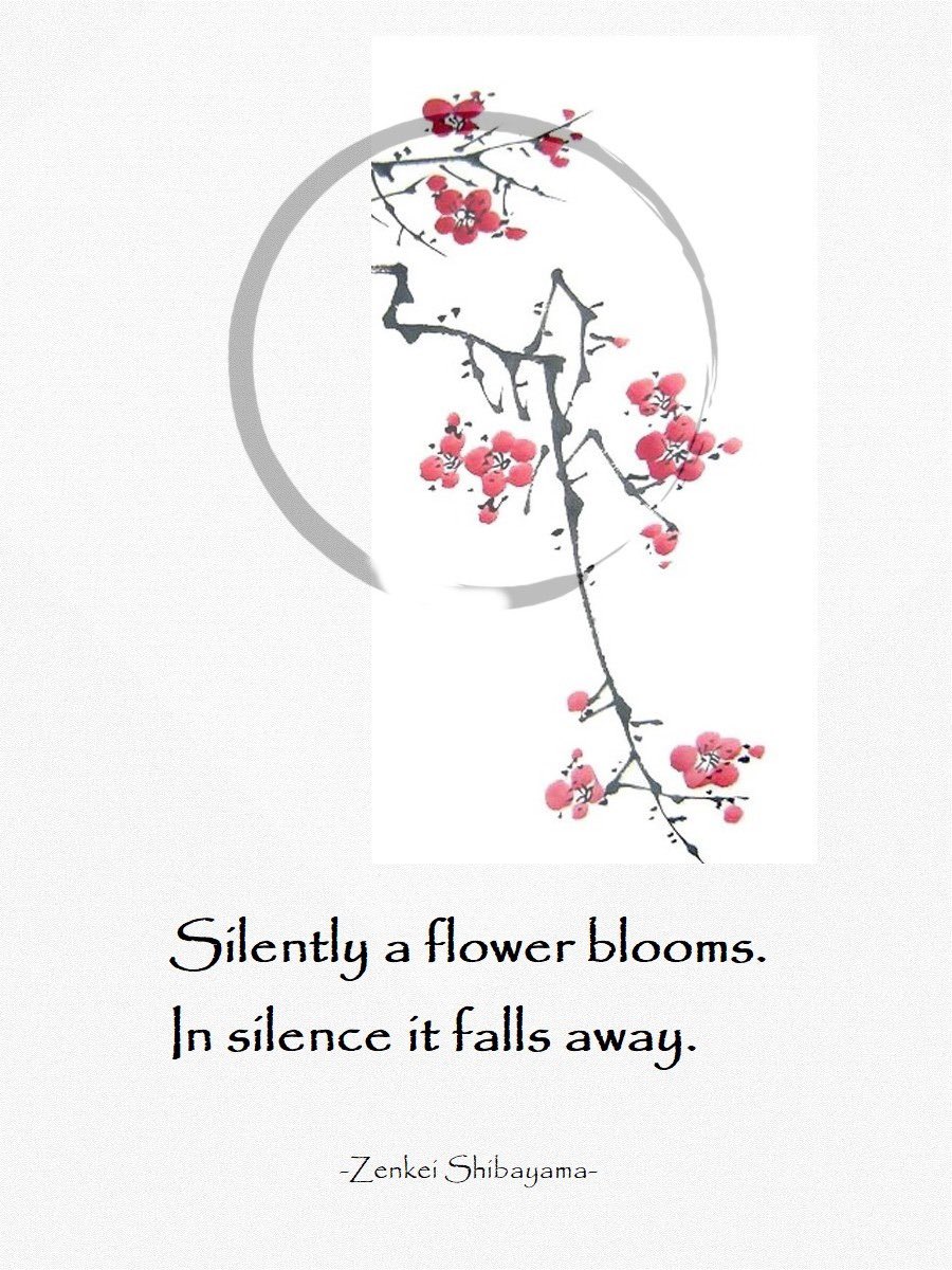wilson_hurley's tweet photo. A quiet mind notices beauty in the world, https://t.co/Ee9YF3TSyl. https://t.co/DrawXMamRI
#silence #mindfulness #beauty #compassion #insight https://t.co/AmyMqJRlrC