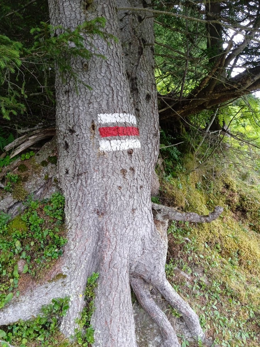 Mister Al tweet media