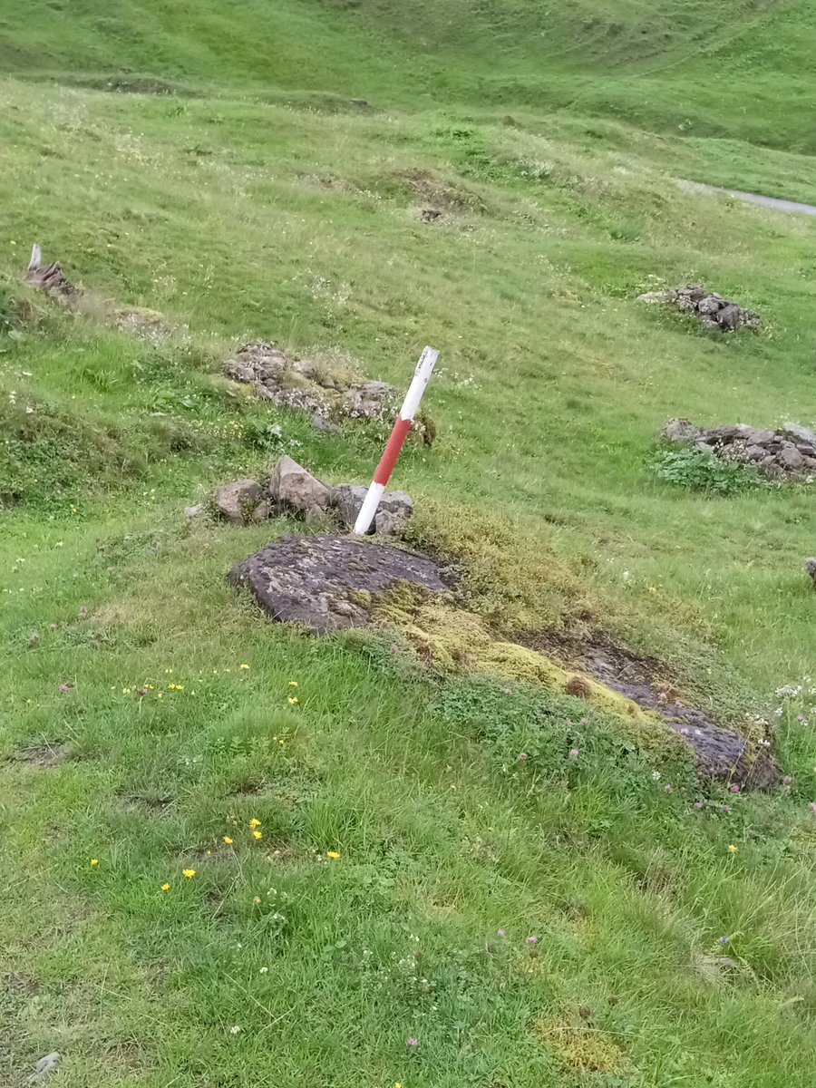 Mister Al tweet media