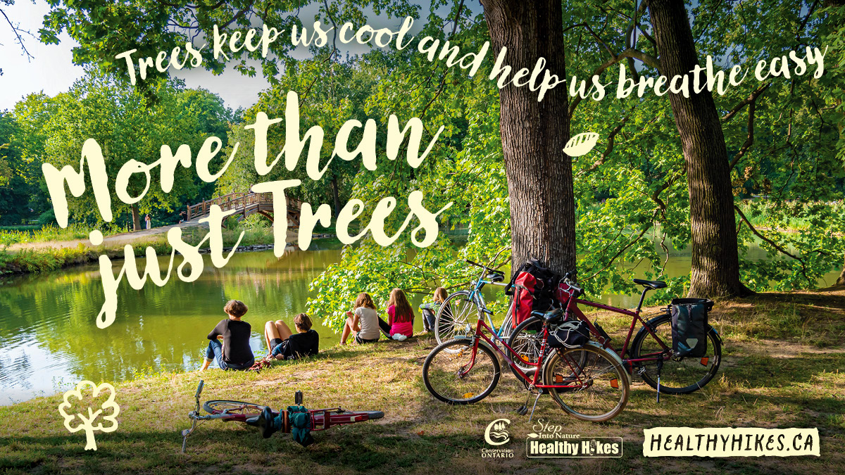 quinteca's tweet photo. Trees are nature’s air conditioners. Their shade protects our skin from harmful UV rays, they clean the air and improve air quality, and they keep our homes cooler in the summer. Learn about tree planting here👉 https://t.co/tIdNA7Ulsl
#QuinteConservation #HikeQCA #HealthyHikes https://t.co/JSY8gd5wDC