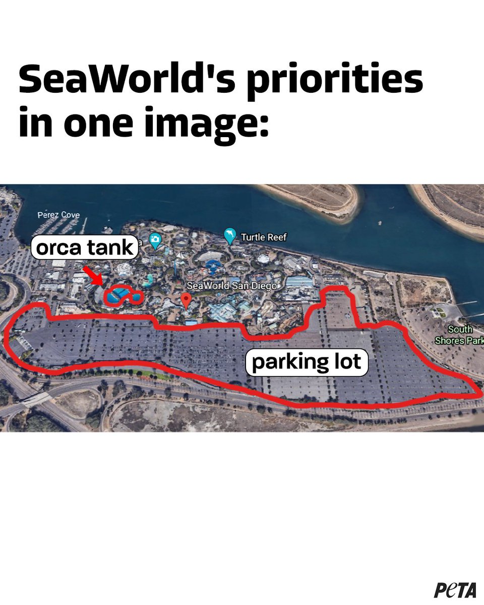 The proof is in the parking lot 🚗  
  
It couldn’t be clearer that #SeaWorld cares more about money than the orcas who are trapped in its tiny tanks. #BoycottSeaWorldDay