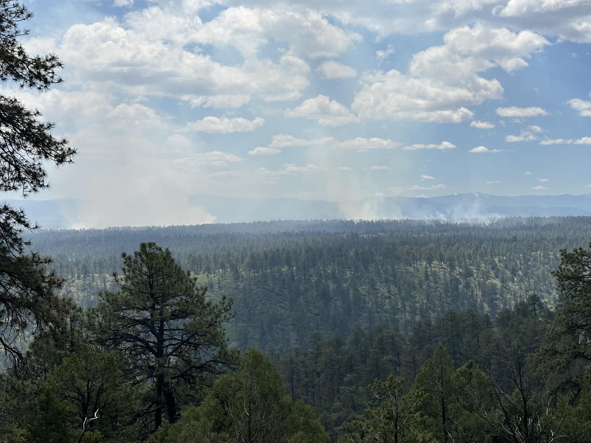 We often talk about using prescribed fire at the right place, time, and scale. The process of calculating where, when and how to start a prescribed fire is much more complex. Forest Service Professionals Prepare for a Prescribed Burn. ow.ly/GLEG50OPJN6
