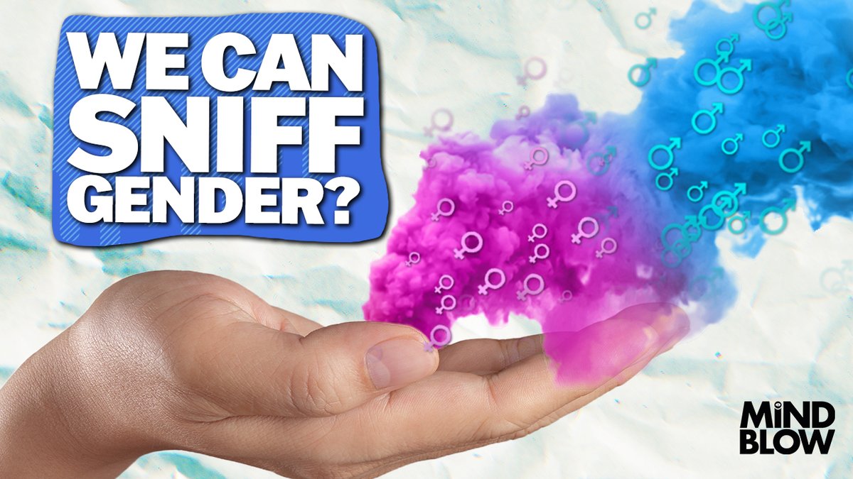 Hand Smell Predicts Gender - Mind Blow

[new mind blow] --&gt; youtu.be/UA0VeadObfM