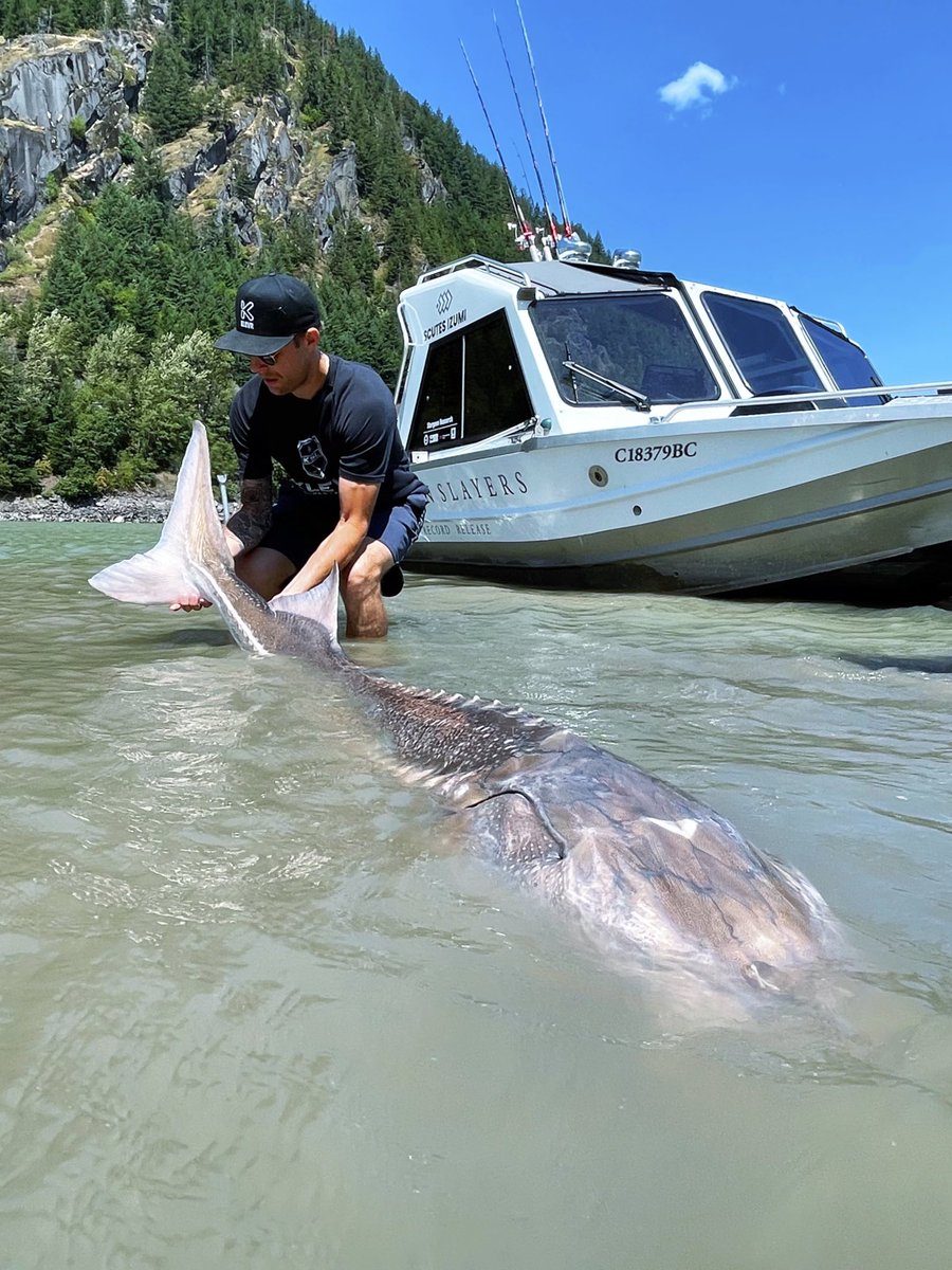 Winnipeg Jets players catch monster sturgeon