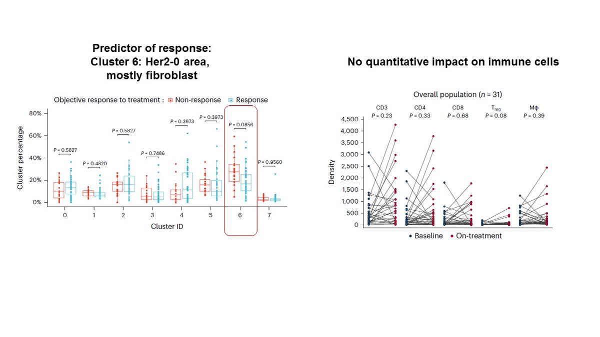 FabriceAndre tweet media