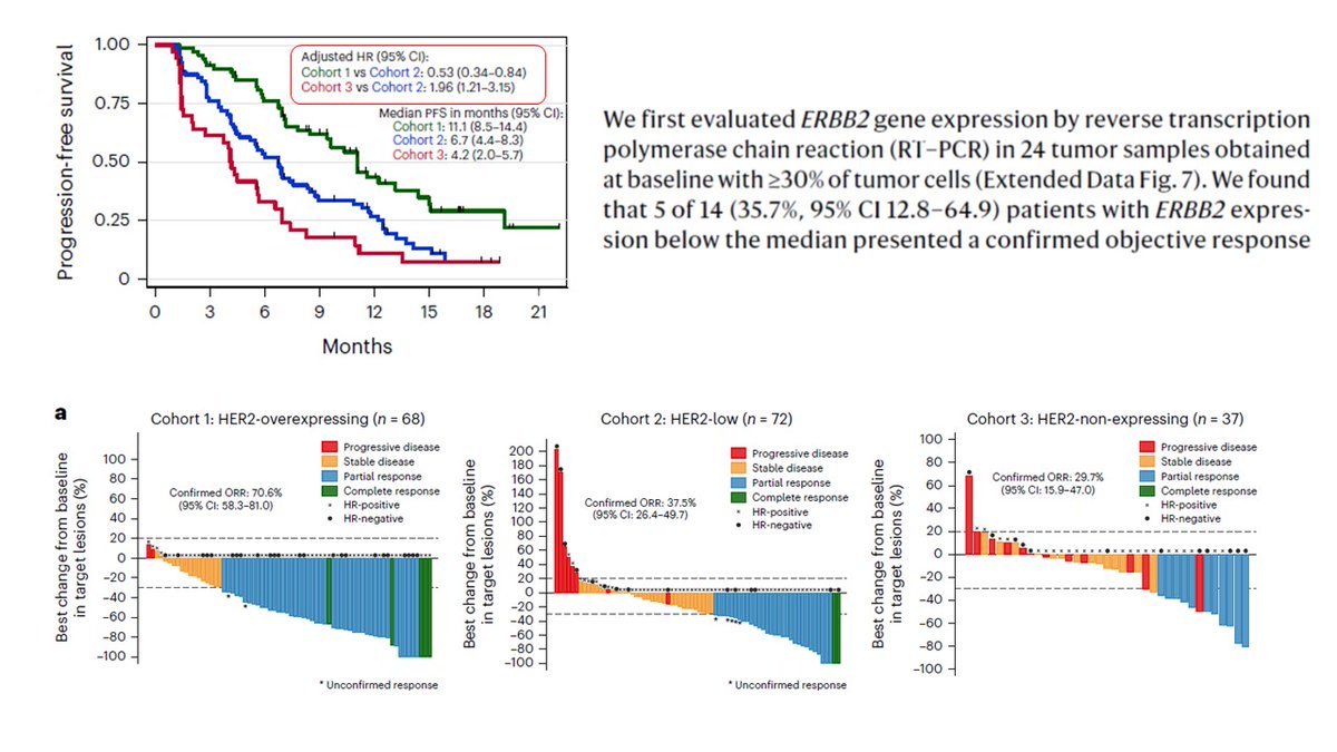 FabriceAndre tweet media