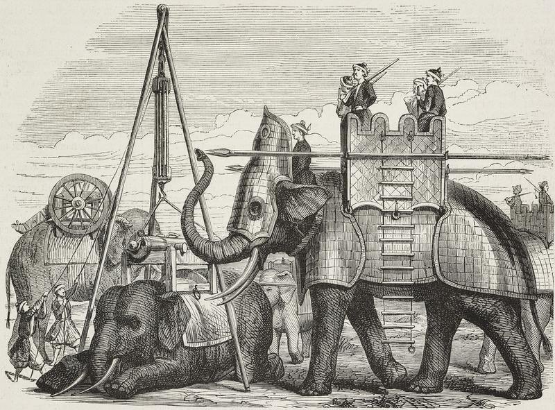 Mood: Triumphant war elephant. #LegalJuggernaut