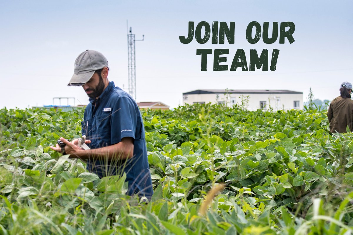 The RIPE Project tweet media