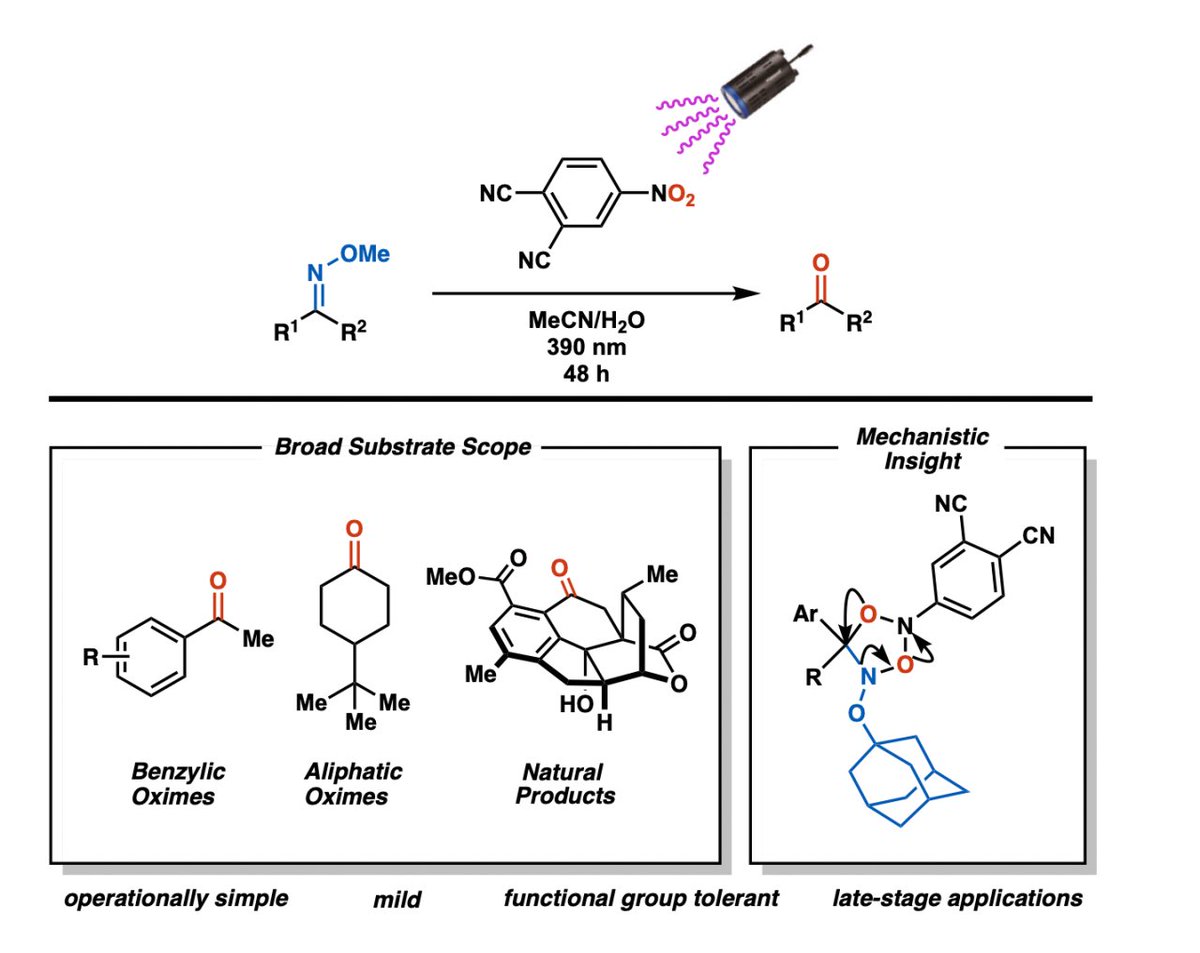 Lucas and Stefan report an alternative way to cleave methoximes to ketones using photoexcited nitroarenes! Now on ChemRxiv!
doi.org/10.26434/chemr…