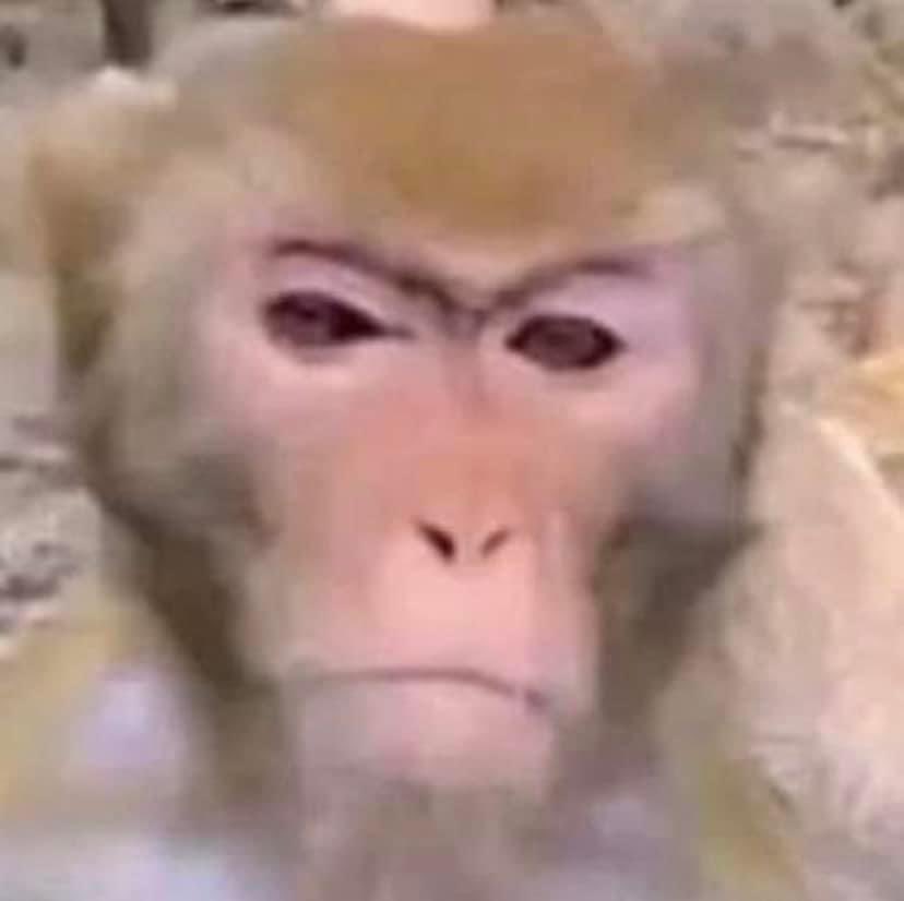 diegoilomilo's tweet photo. yo cuando estoy de malas / yo cuando estoy de buenas: https://t.co/dSAbuyQRlt