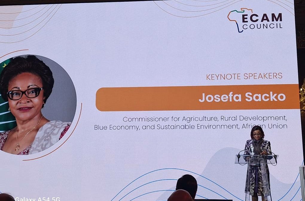 JosefaSacko's tweet photo. Honored to deliver a statement on behalf of @AUC_MoussaFaki, the Chairperson of the @_AfricanUnion at the 4th European Corporate Council on Africa &amp; Middle East Council (@EcamCouncil) in Rome. The 4th Summit of Global Leaders is on Multilateralism for a better future. https://t.co/BksA9WIV0I