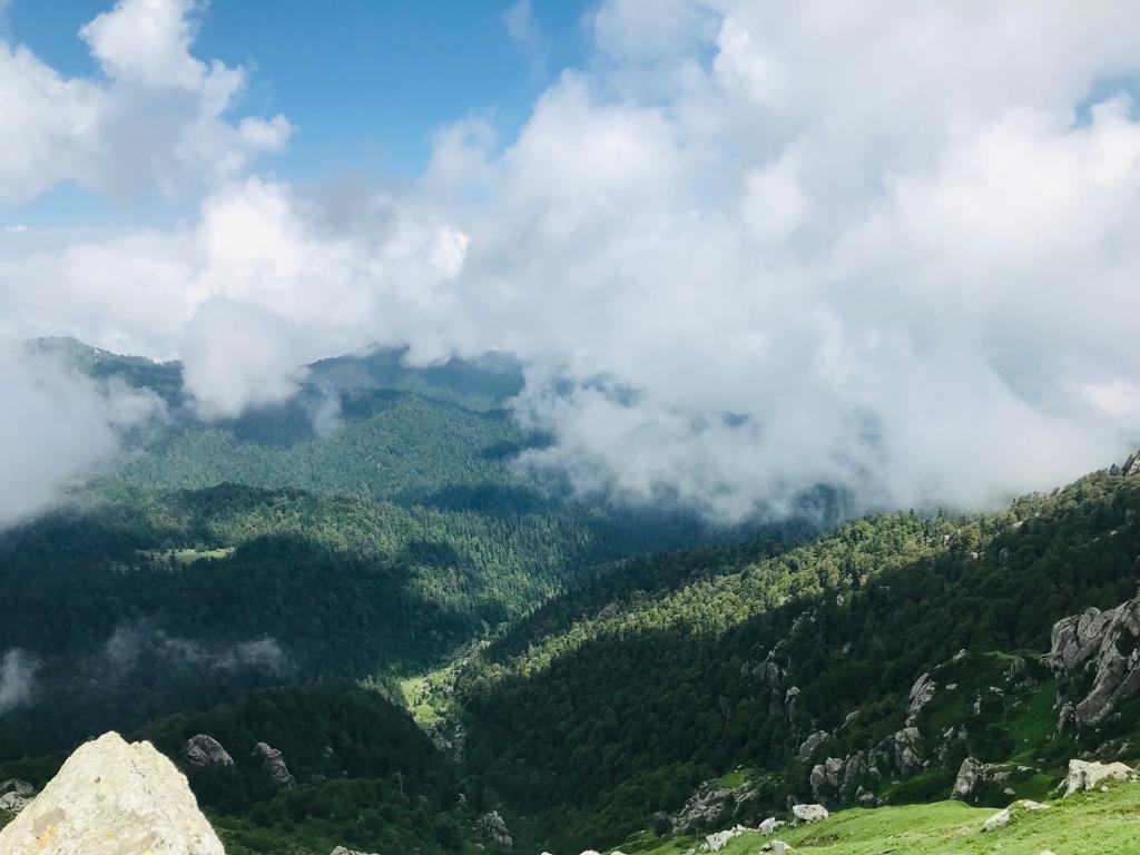 Mayank12787828's tweet photo. In my childhood, I am always curious,  what is best profession....  Now I got the answer..... That is fisheries... No boundaries... Mountain to sea... Forest to plans... Adventures are always waiting for you.. https://t.co/T2jaLoHAHs