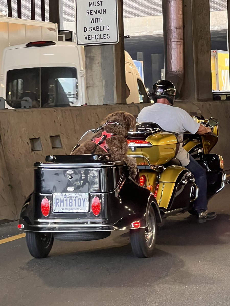 Marina A. Creed FNP-BC, APRN, MSCN tweet media