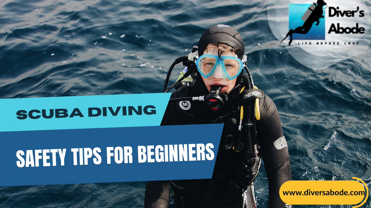 DiversAbode's tweet photo. 🌟 Discover the Underwater Wonders 🌟
Explore the depths of the ocean with our scuba diving tips and expert advice in our latest blog. From safety essentials to jaw-dropping marine encounters, we've got you covered! 🦈🐢🐠 
Know more: https://t.co/2uR2jfDcIo
#ScubaDiving https://t.co/229uI5KnrO