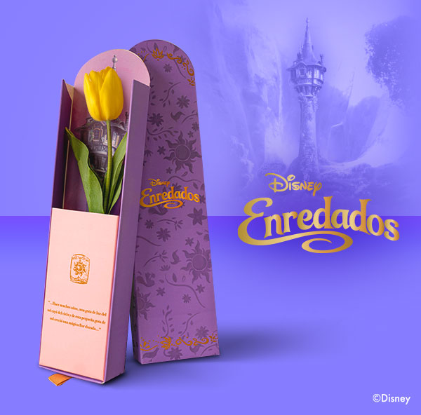 ✨Flor que da fulgor, con tu brillo fiel, vuelve el tiempo atrás, volviendo a lo que fue🌼✨