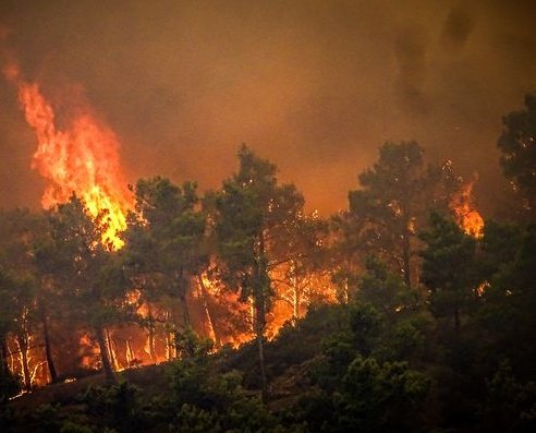 Ze plakken zich vast aan wegen, besmeuren kunst &amp; architectuur en nu steken ze naar het schijnt zelfs bossen in de fik om 'KLIMAAT-VERANDERING' te schreeuwen! 

Doe een ❤️ &amp; RT als je die klimaat-drammers SPUUGZAT bent!