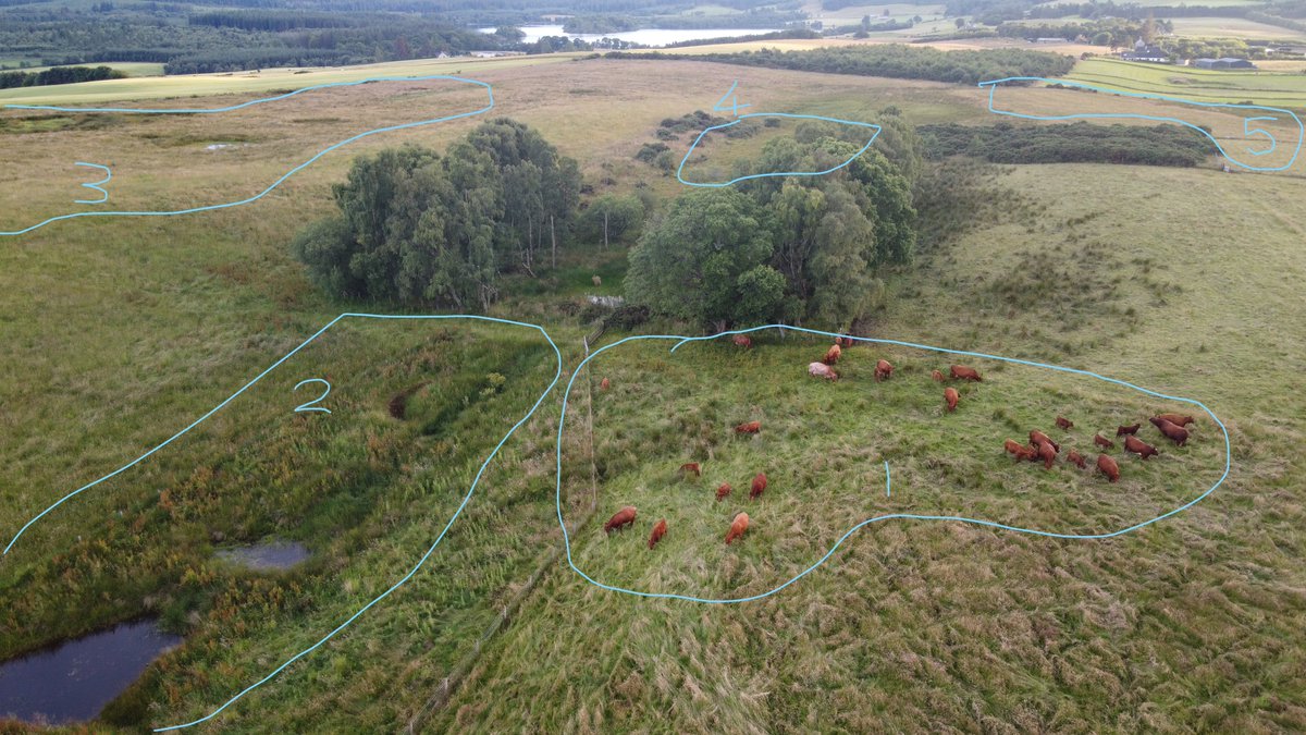 Richard Lockett tweet media