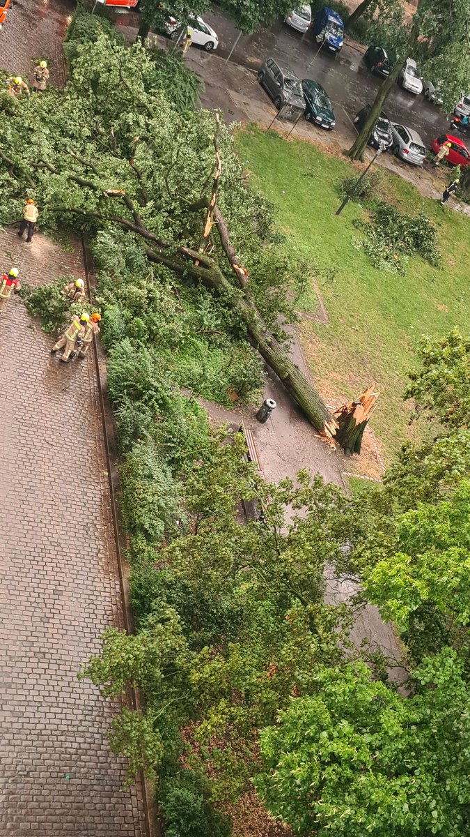 stixx_de's tweet photo. Unwetter im Wedding #sturm https://t.co/z8Qil0PQUa