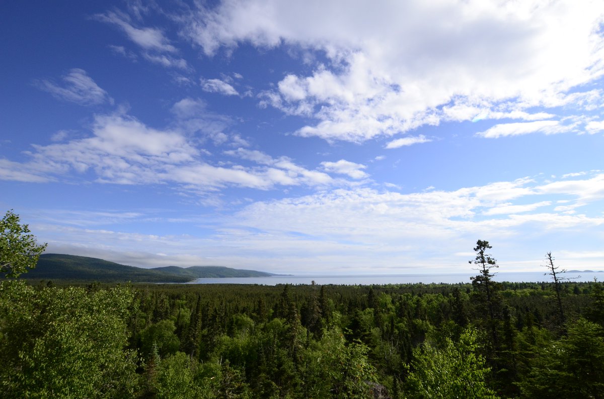 OntarioParks's tweet photo. @NeysProvPark is one of those parks that keeps you coming back again and again! ☁️🌲
Ready to fall in love with this natural beauty? 😍
#NeysPP awaits: https://t.co/S2hgUQbEv2 https://t.co/UhG645ouUR