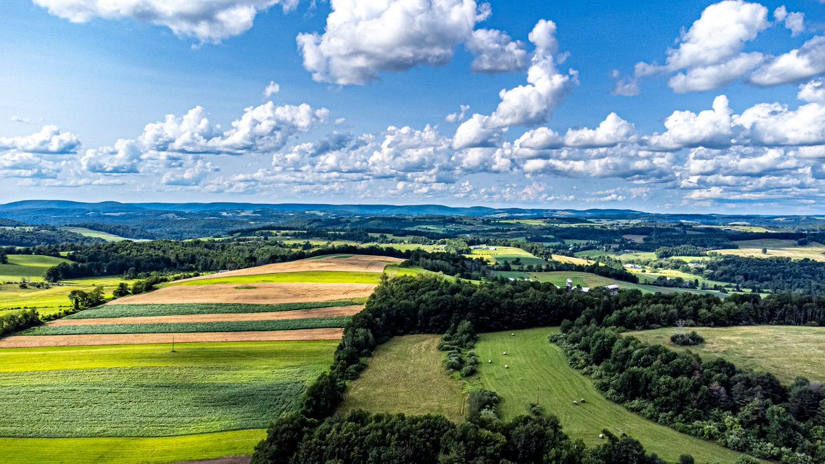 Ebenezer tweet media