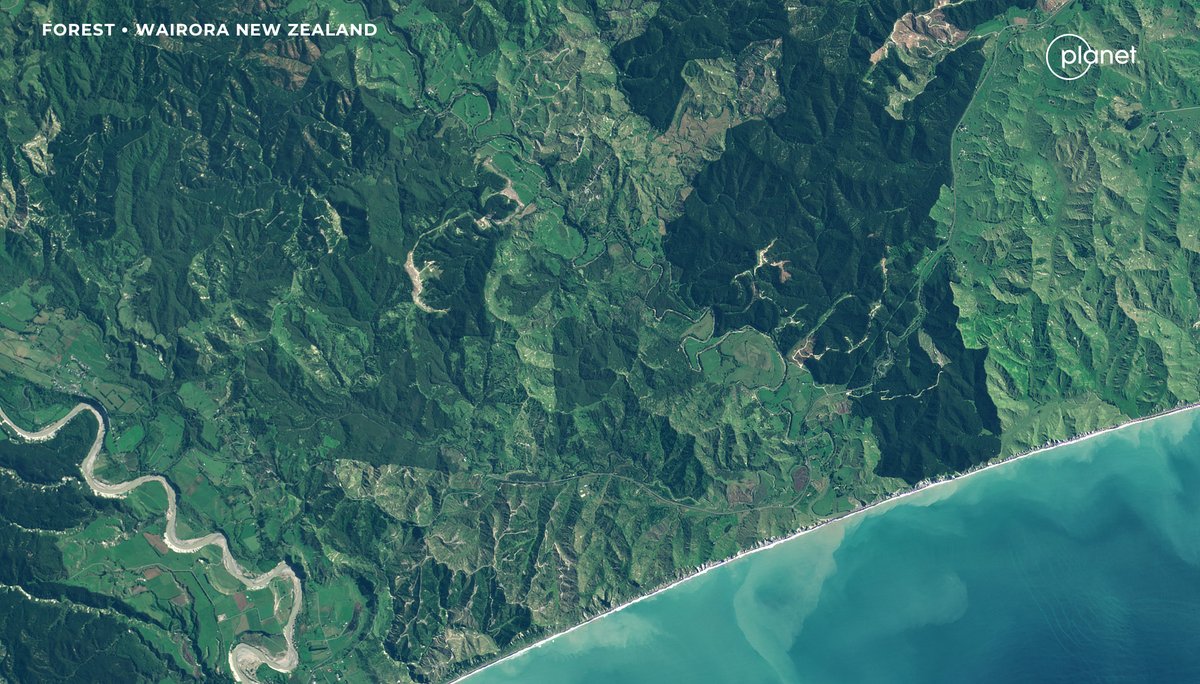 planet's tweet image. In this week's #GroundTruthInAsia, learn how our partners are using our #satellitedata to monitor tree harvest and growth, for better #forestmanagement &amp;amp; rehabilitation in NZ and PH. 🌳 
👉🏽 go.planet.com/apj2 

Spotlight on @interpine_Nz &amp;amp;  @JukenNewZealand &amp;amp; Geospectrum