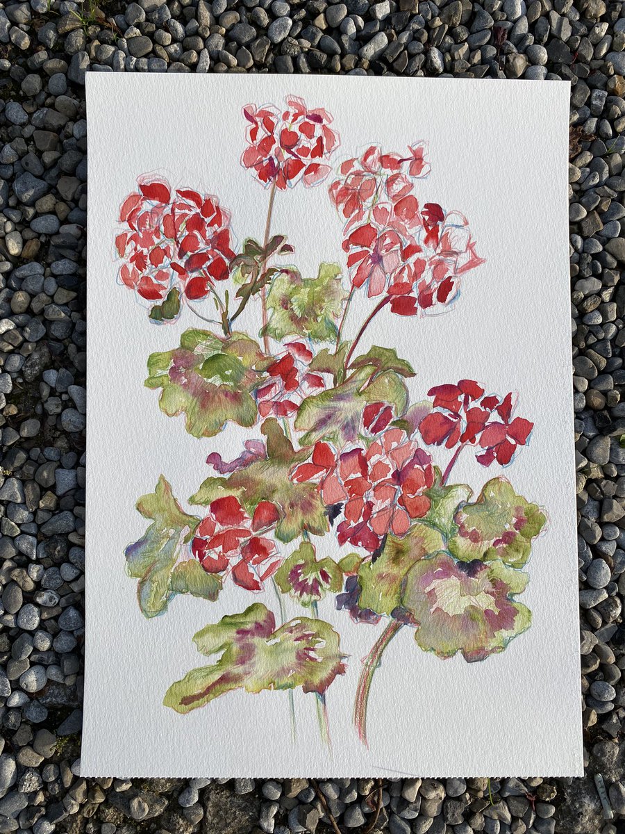 Returning to a drawing from last week’s #sculptorsdrawingspace. Mostly improvised today as the flowers from last week have wilted and others, bloomed.