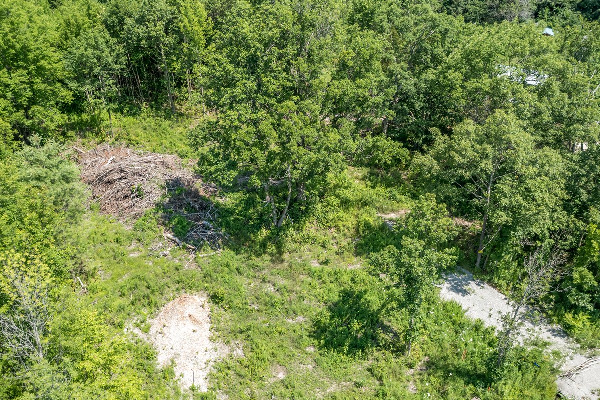 PROPERTY FOR SALE - Build Your Dream Home on This Private Treed Lot - 88 Musky Bay Road, Port Severn #FarisTeam #NewListing #RealEstate #ForSale #PropertyForSale #SimcoeCounty #Severn #PortSevern #VacantLand #Investment

faristeam.ca/listings/88-mu…