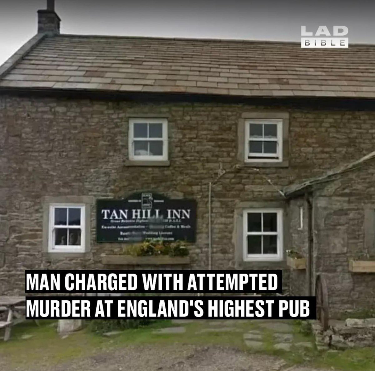 Mark Quayle tweet media