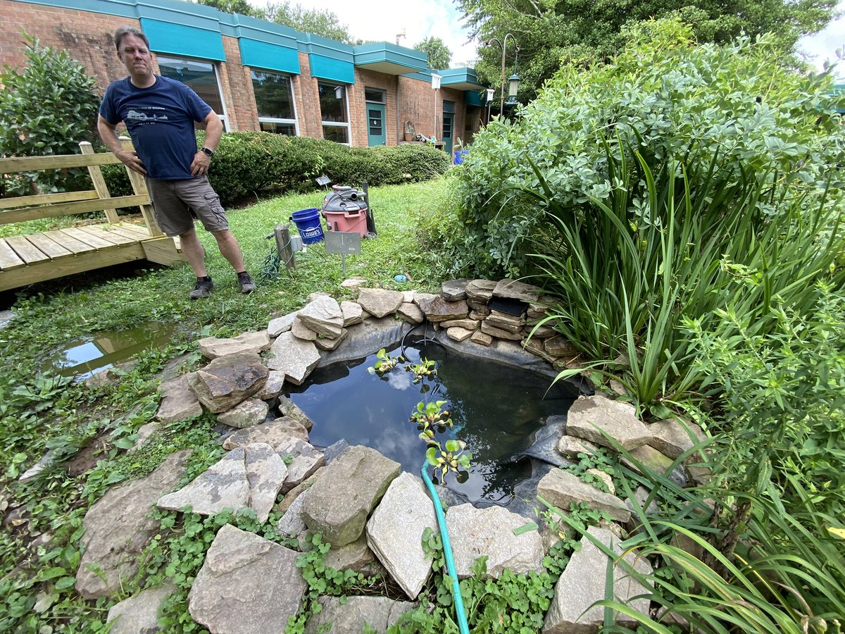Thanks Pastor David of Fairfax Circle Church for donating the waterfall and plants and helping me refurbish @FlintHillES courtyard pond. As you can see Quack Efron is taking a dip already. The courtyard flock can wait for the students to return. #FHESIlluminates @fcpsGet2Green