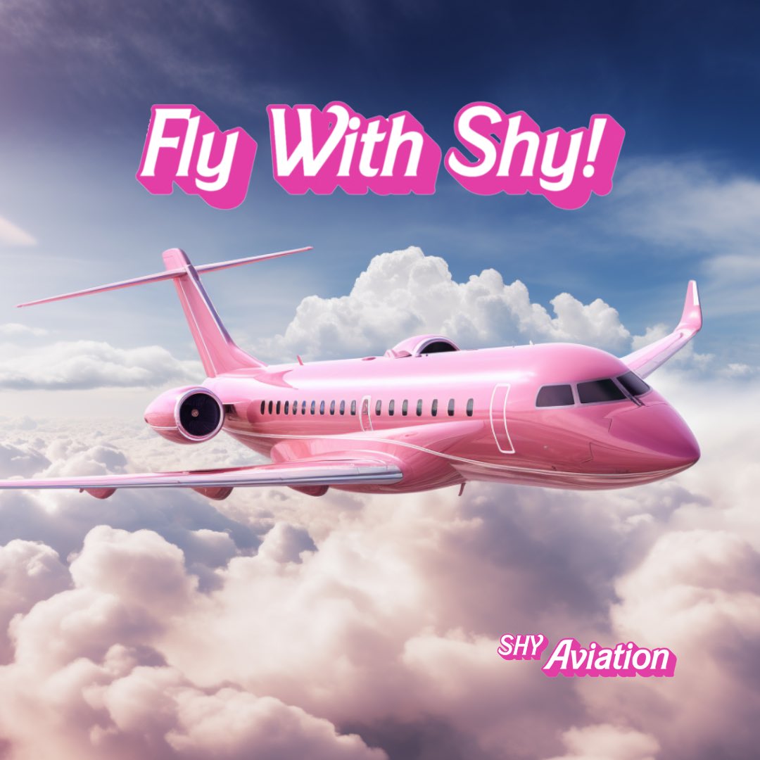 SHY Aviation tweet media