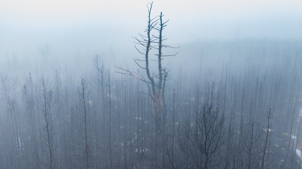 CBCshaner's tweet photo. Been a while since I posted some images. Its been a hectic summer with drone shots seeing a big uptick. Spent a few days over in Halifax after the airspace was cleared for flying after the wildfires. Here are some images from several locations we got. https://t.co/qKpr1EVzeW