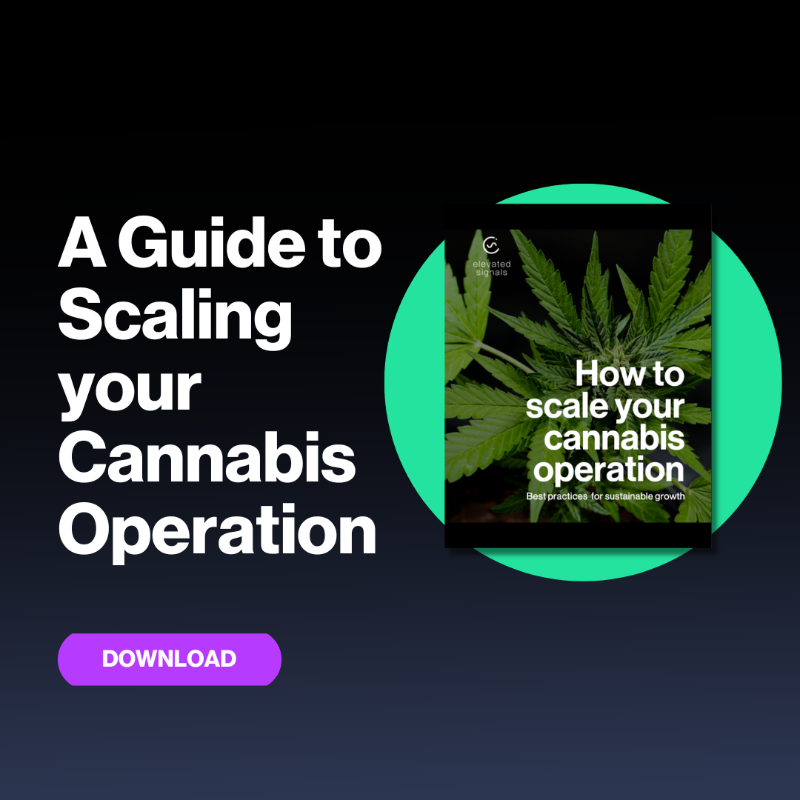 ElevatedSignals's tweet photo. Want to grow your cannabis business?🌿 We've got you covered with our scaling operations guide. Our guide will help you avoid costly mistakes, create a solid plan, and use management strategies to enable sustainable growth. Plus, you'll get insider advice from industry experts.