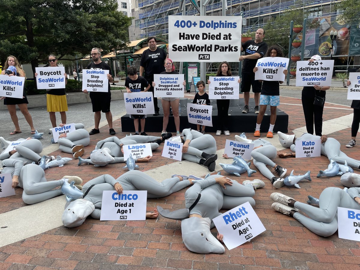 SeaWorld sucks. #BoycottSeaWorldDay