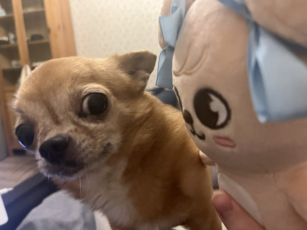 redddiepilled's tweet image. 