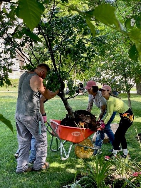 Team Work makes the Dream Work!
The greatest volunteers showed up in the EH Garden to help Stephen move a very special tree & make room for a new swing for our children. Success with flying colours!
#trees; #emilyshouse; #teamwork; #volunteers ; #volunteertoronto; #hospiceheroes