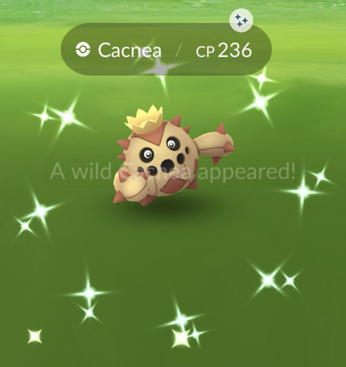 lenbiasgo's tweet photo. this shiny cacnea must of traveled from Vegas on foot #PokemonGO https://t.co/rgZWj14vSo