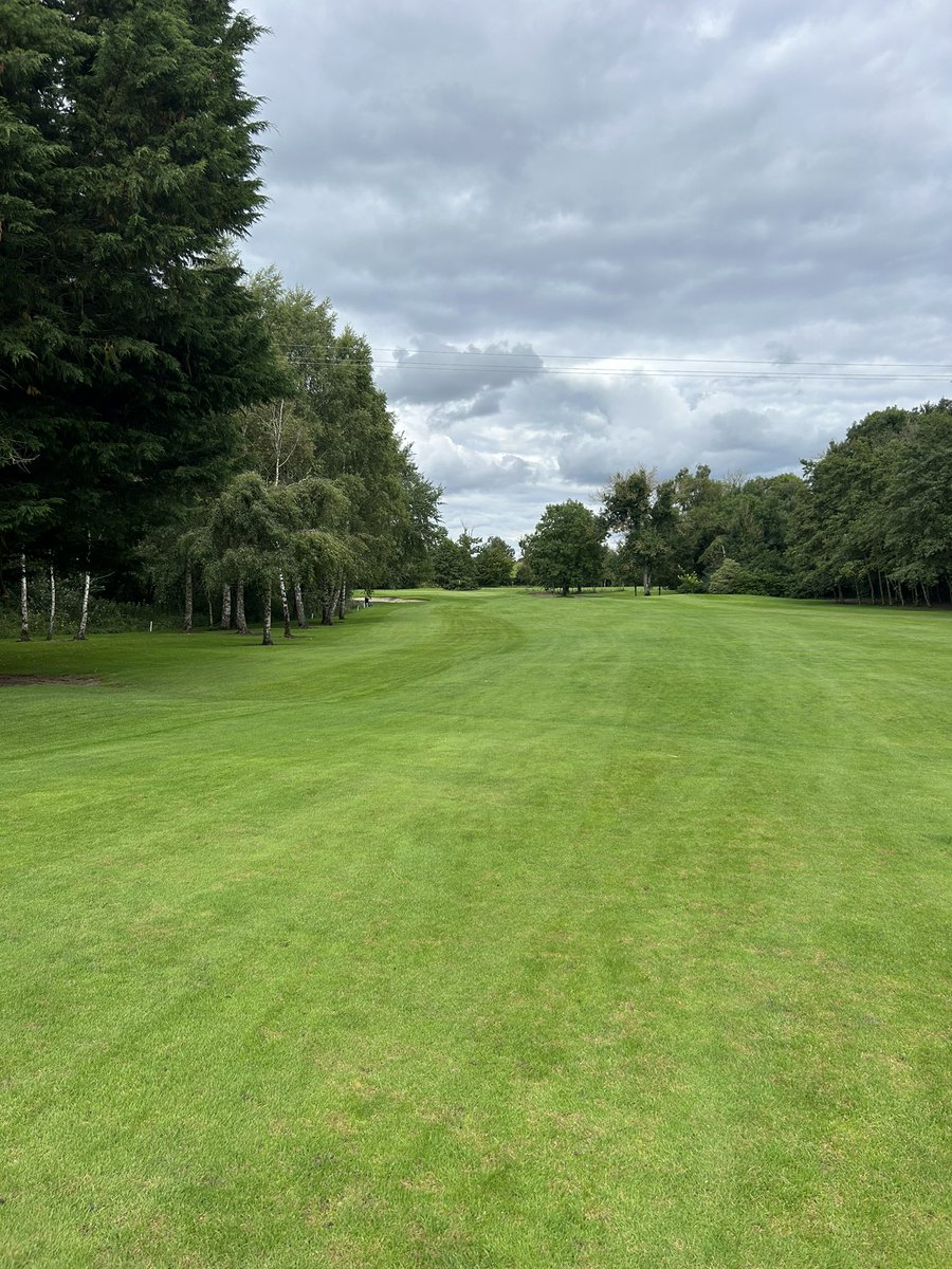 SharonSmurfit tweet media