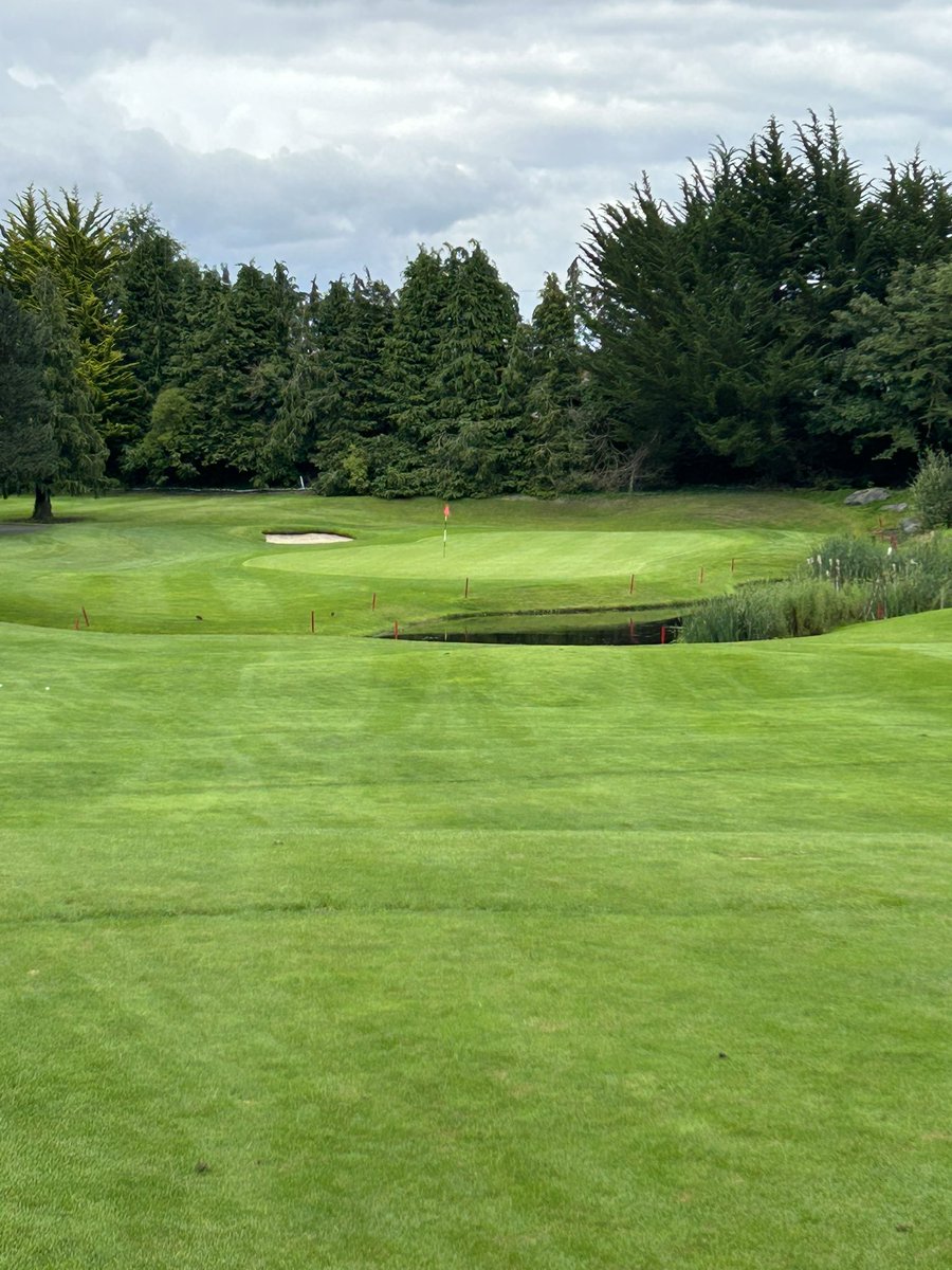 SharonSmurfit tweet media