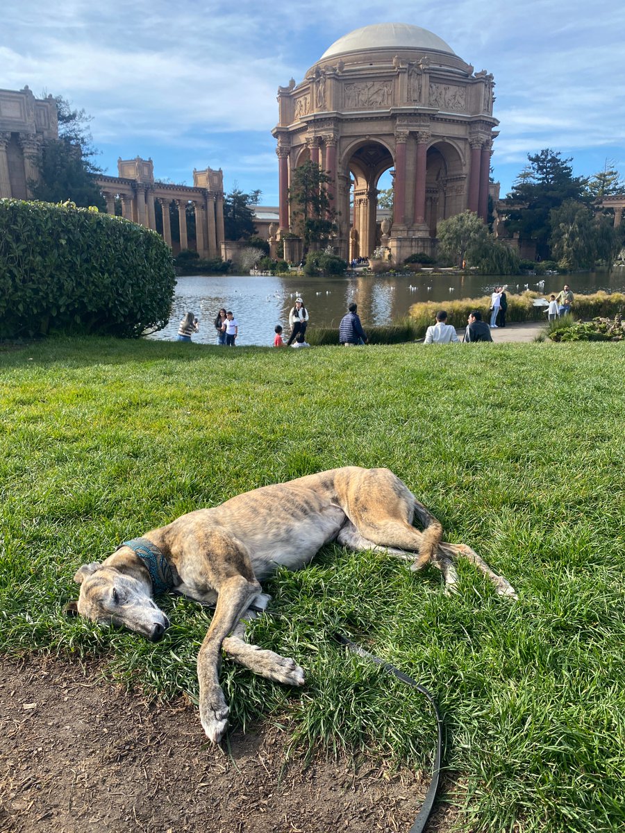 Dan Noyes tweet media