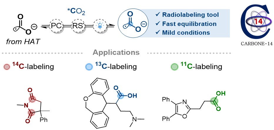 Glad our work on CO2 radical anion with #carbon14 and #carbon11 is out @J_A_C_S! Congrats to @MalandainAugus1 @maxime_molins and all authors🥂 Great collaboration with Fabien Caillé & Nicolas Tournier @SHFJ_cea! @CEA_Joliot @CEAParisSaclay @ERC_Research pubs.acs.org/doi/10.1021/ja…